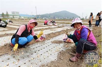 《味道4：韩国电影完整版在线观看及下载指南》