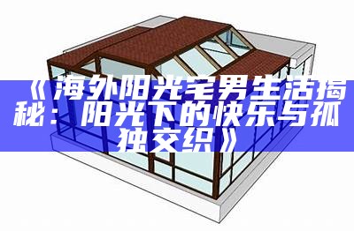 《海外阳光宅男生活揭秘：阳光下的快乐与孤独交织》