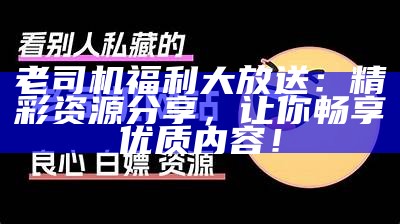 老司机福利大放送：精彩资源分享，让你畅享优质内容！