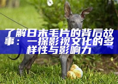 了解日末毛片的背后故事：一探影视文化的多样性与影响力